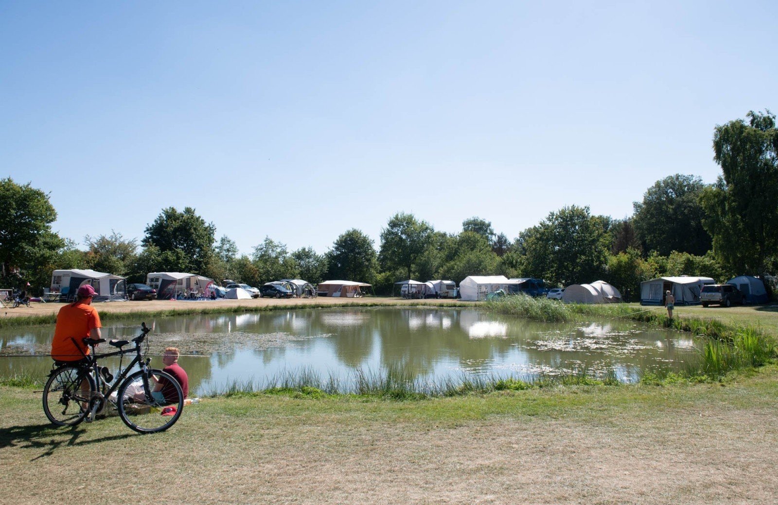  rdv7940 66e82633a2684