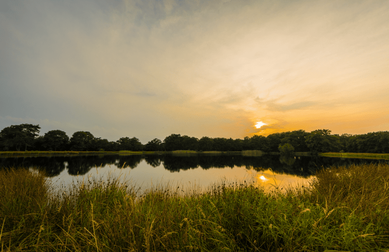 Drenthe zu Fuß oder mit dem Fahrrad