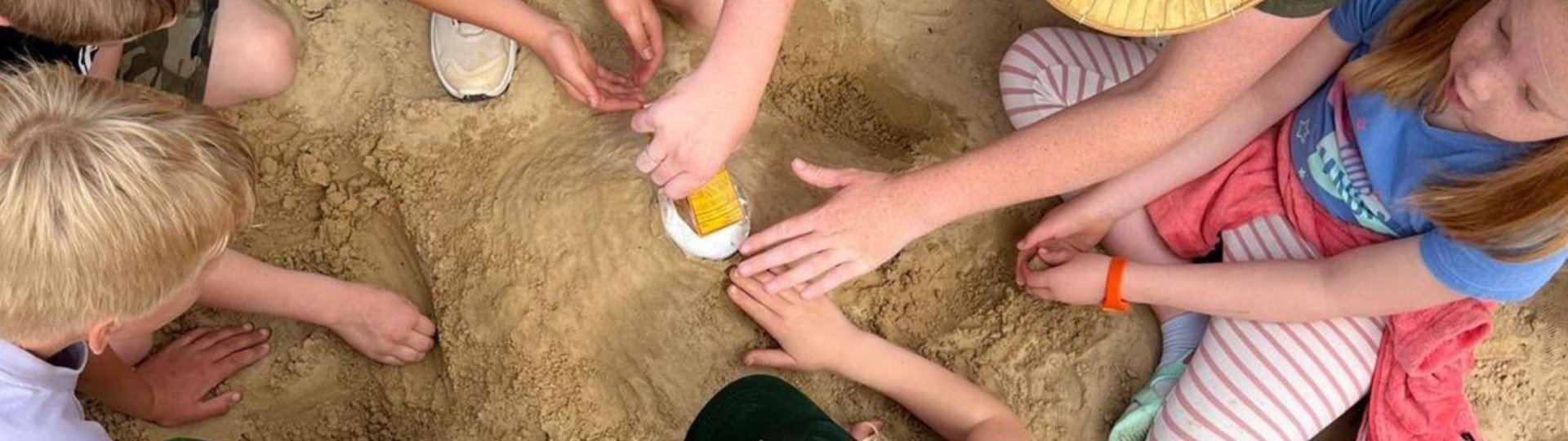 Img 20240817 wa0004 681b5737e0578