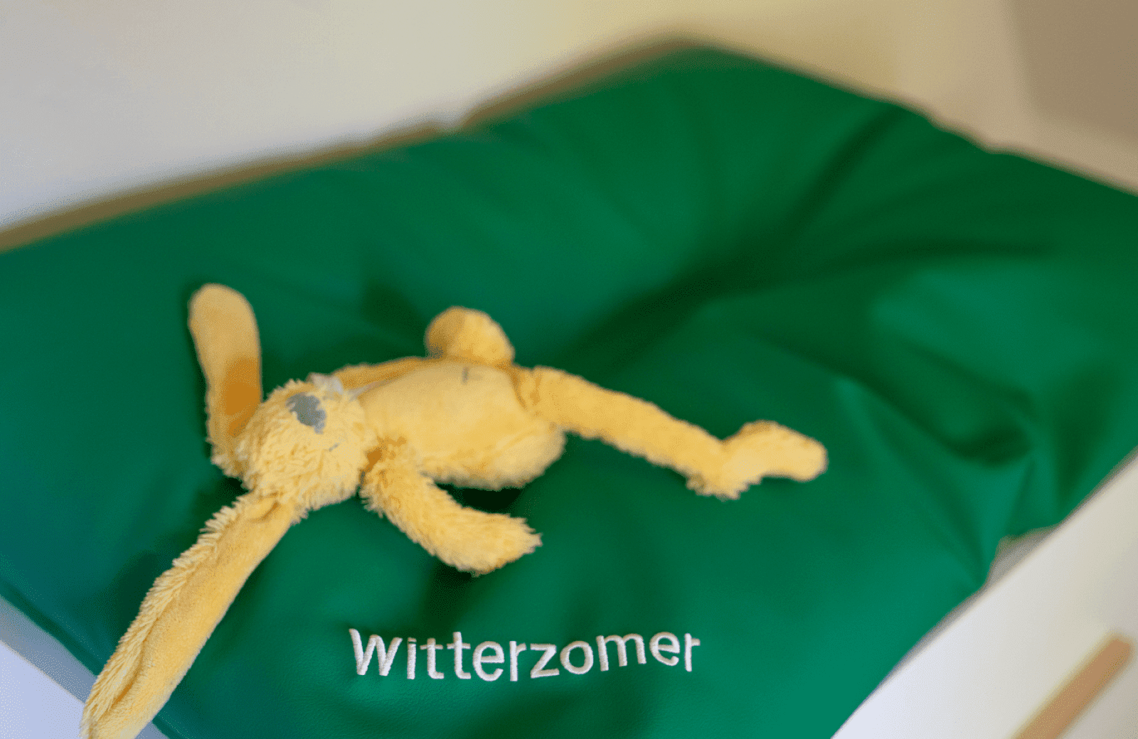 Kindervakantiehuis aankleedkussen verkleind