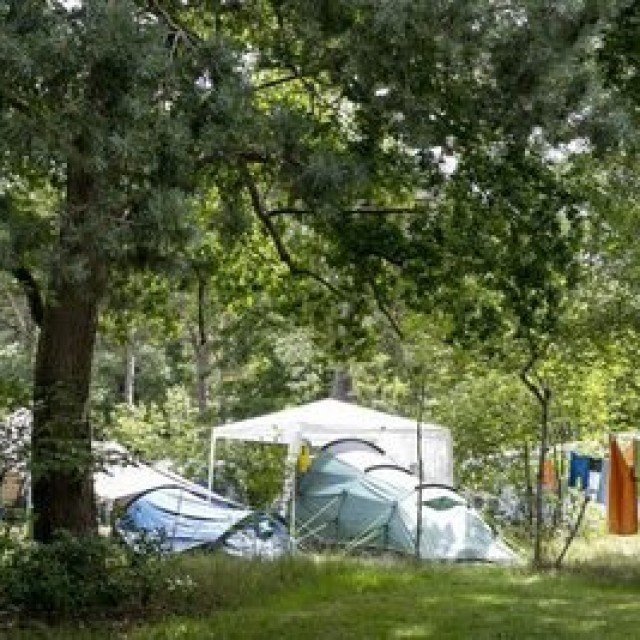 Spätsommer-Angebot: 15 Tage