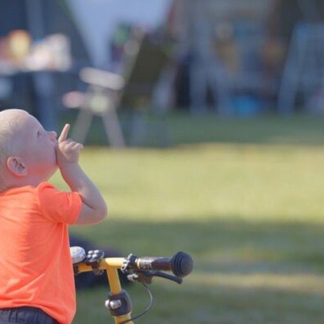 Camping-Arrangements